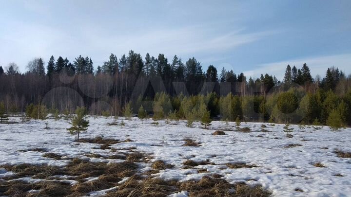 Участок 17,8 сот. (ИЖС)