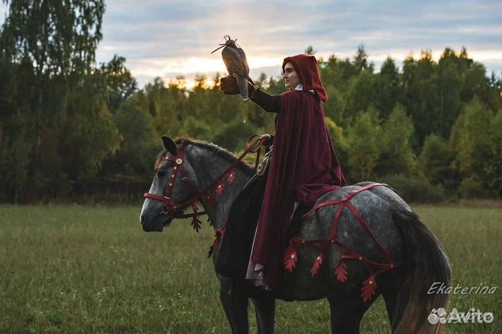 Кобылы, мерена, жеребец и жеребята