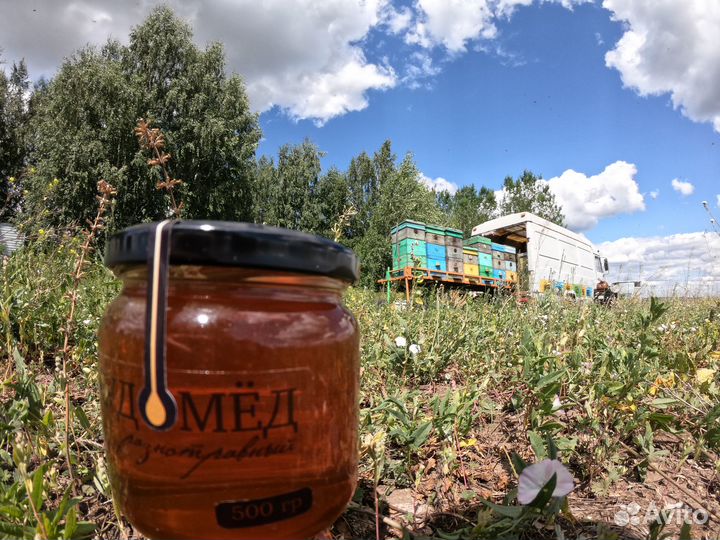 Мёд - разные сорта, оптом, пасека. Мурманск