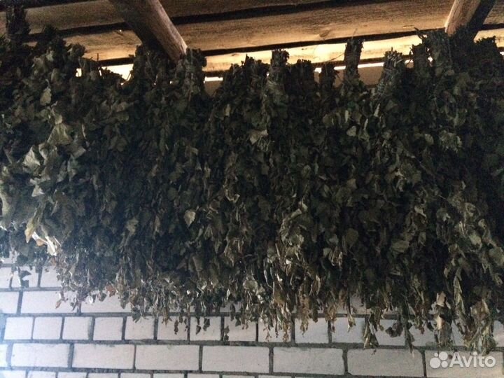 Банные веники, березовые