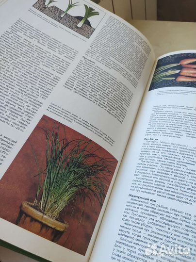 Энциклопедия садовода