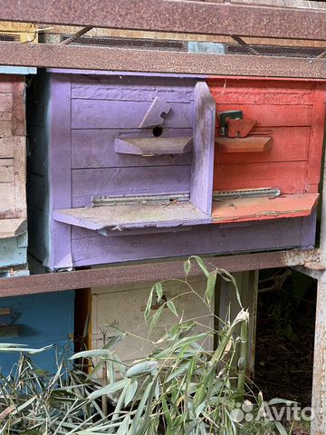 Ульи, улики, лежаки