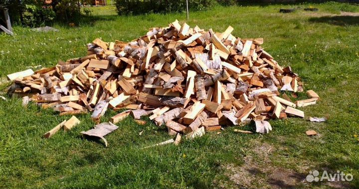 Дрова Осина любого объема от производителя в Приоз