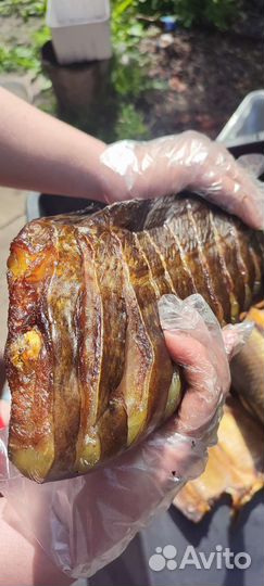 Копчение рыбы Холодное копчение