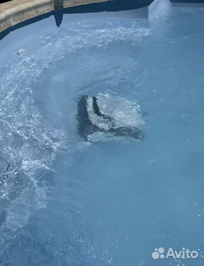 Робот пылесос для бассейнов