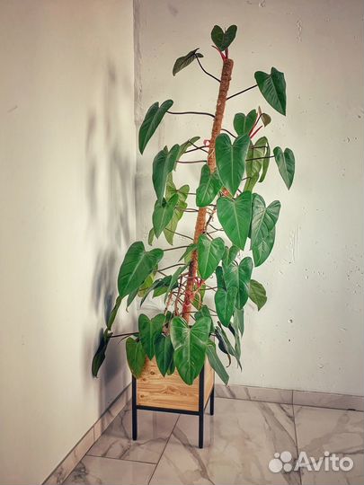 Кашпо для цветов лофт