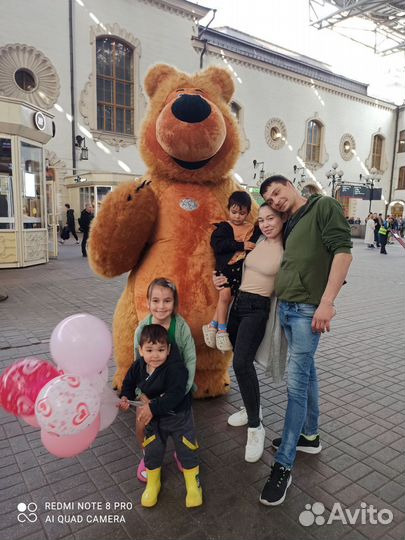 Белый мишка поздравление, чебурашка, медведь бурый