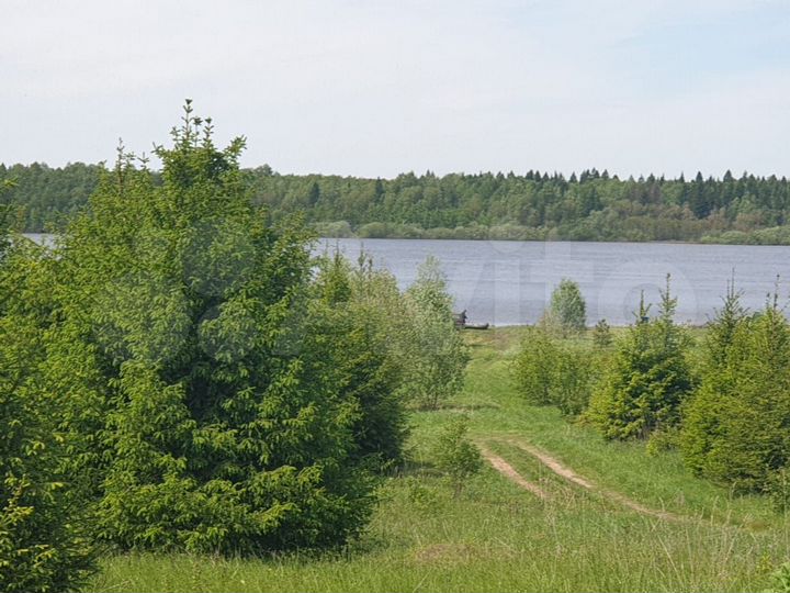 Участок 15 га (СНТ, ДНП)