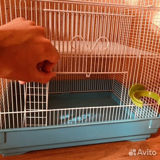 Клетка для грызунов бу