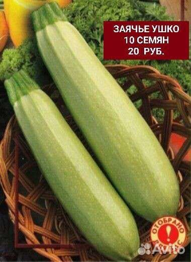 Семена Татиссонов и Кабачков