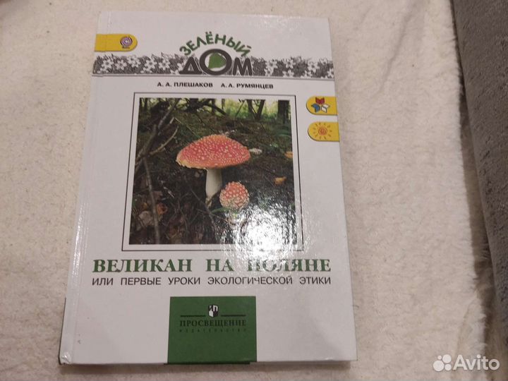 Великан на поляне А. А. Плешаков