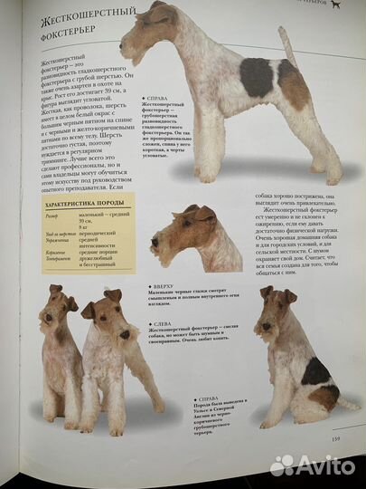 Всё о собаках. Питер Ларкин и Майк Стокман