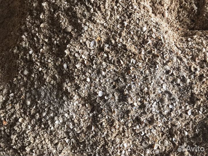 Ракушка кормовая