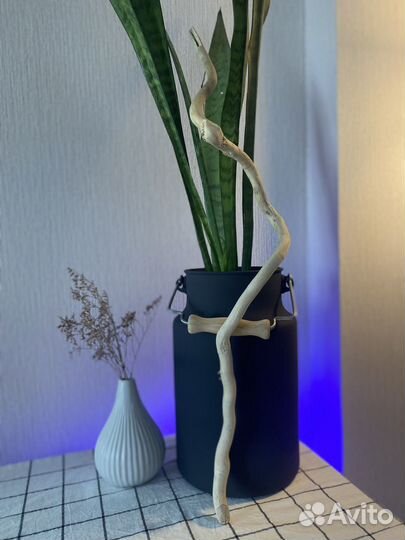 Набор морские коряги дрифтвуд палочки