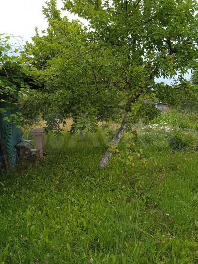 Участок 6 сот. (СНТ, ДНП)