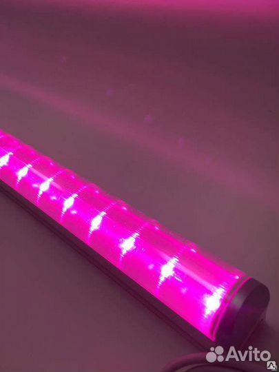 Фитосветильник IN-Home спб-Т8-фито для растений