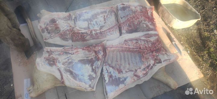 Мясо свинина