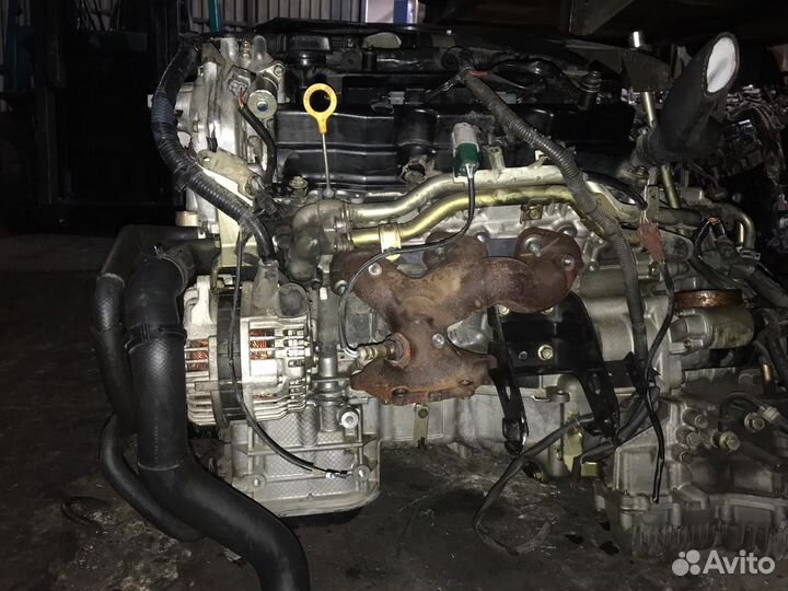 Двигатель ниссан мурано с50 3.5л вку35 де Япония