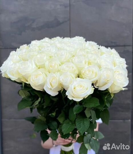 Розы / Цветы с доставкой