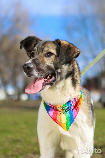 Лего бесплатно