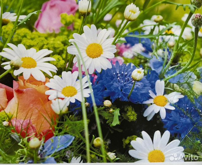 Реклама печать наклеек