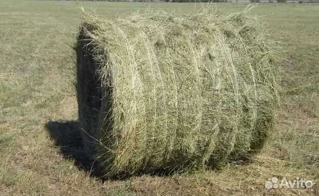 Сено тюки,рулоны