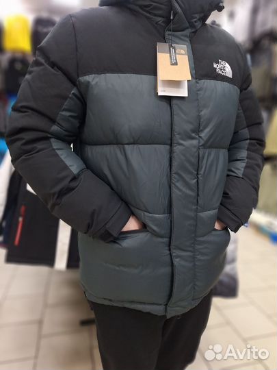 Зимние куртки и пуховики