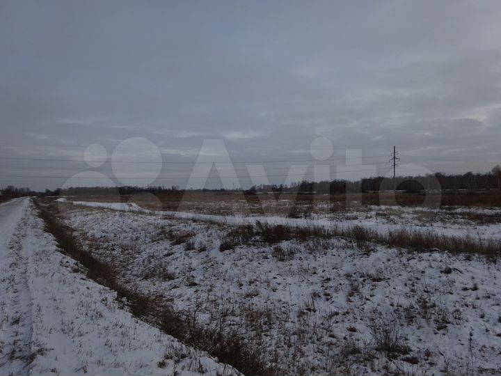 Участок 5,58 га (ИЖС)