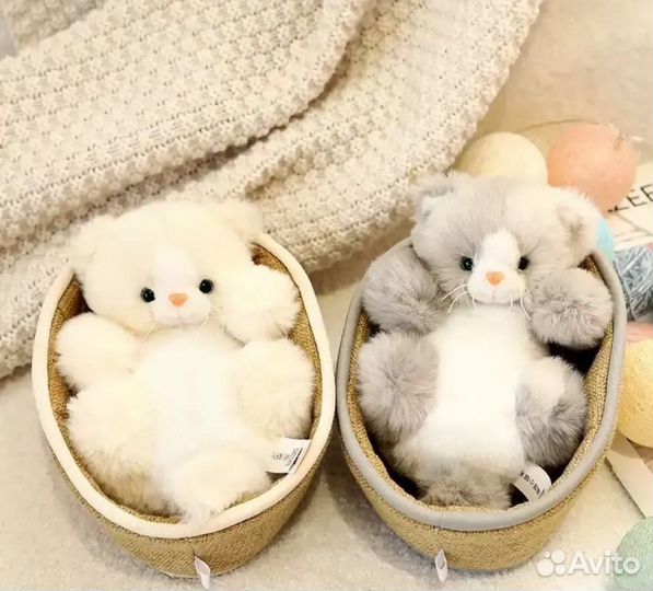 Мяукающие мягкие котятки