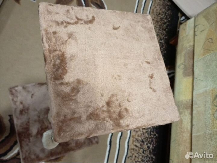 Когтеточка