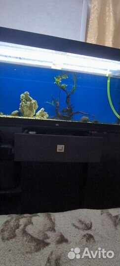 Аквариум 400л