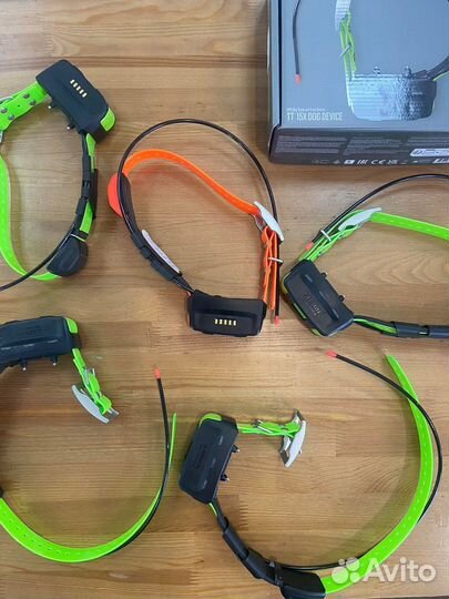 Ошейник Garmin T5/TT15, диагностика-ремонт