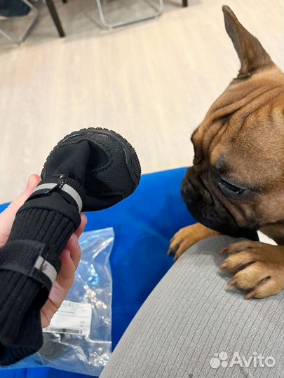 Обувь для собак средних пород 60