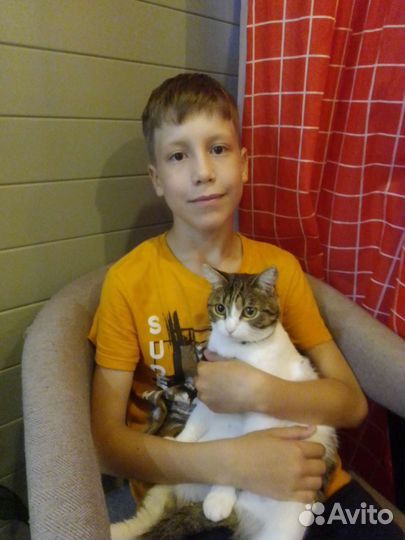 Гуляю с домашними животными