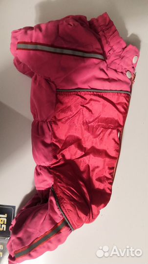 Одежда и обувь для мелких и средних собак