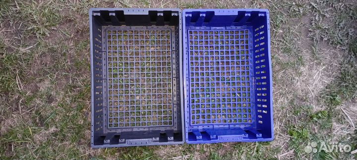 Ящик пластиковый