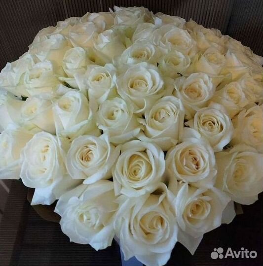 Высокие Розы Гиганты Доставка Круглосуточно