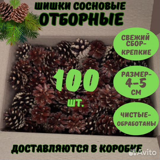 Шишки для поделок и творчества. Новогодний декор