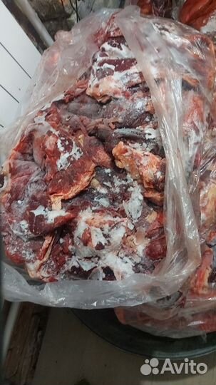 Корм для животных-собак