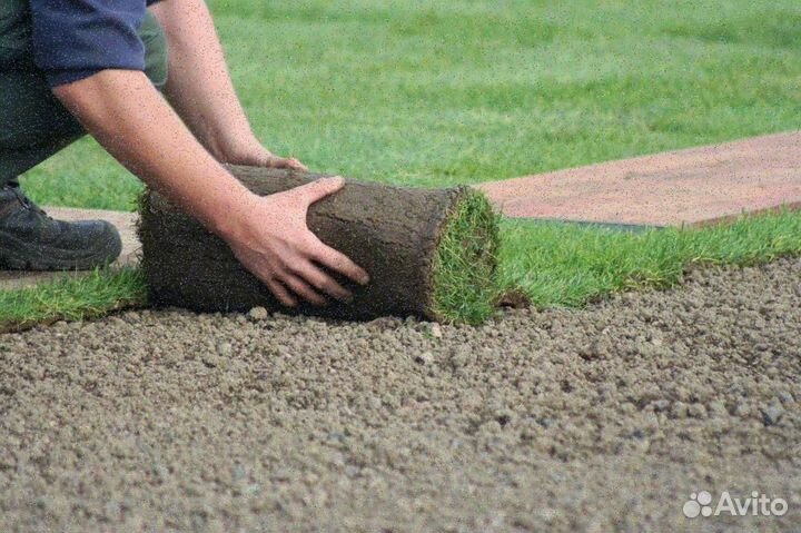 Рулонный газон от производителя стандарт