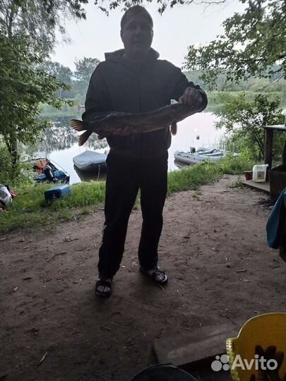 Лодочный мотор эвенруд 8