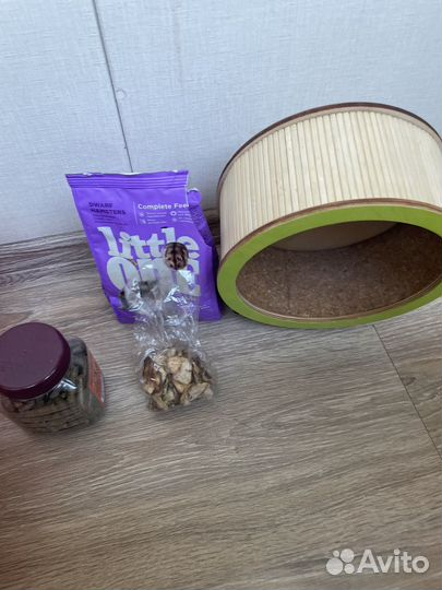 Домашние животные грызуны