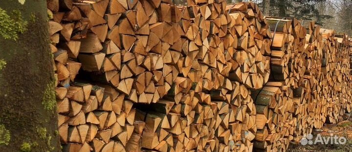 Дрова в Солнечное