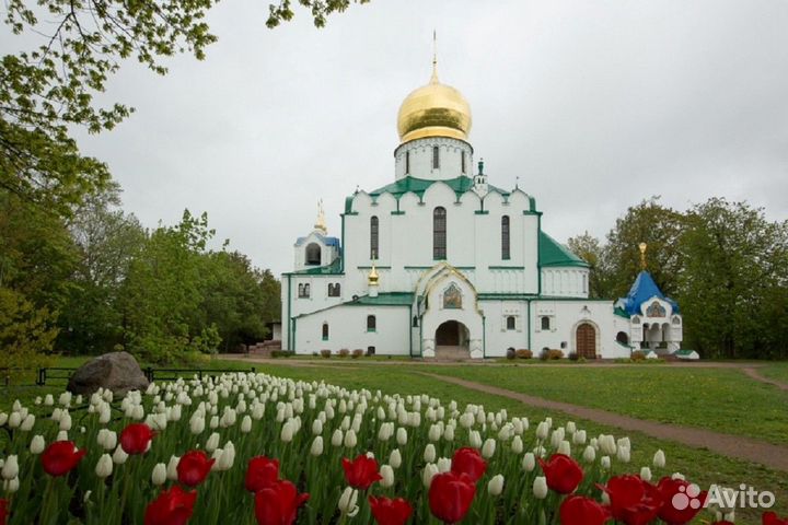 Экскурсия — Пушкин — «Явас рассматривал украдкой»