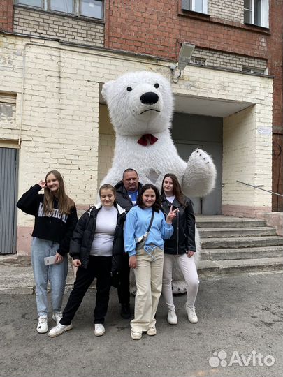 Белый мишка поздравление, Панда, медведь чебурашка