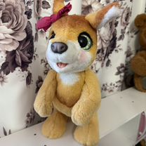 Furreal кенгуру, Зеленоград