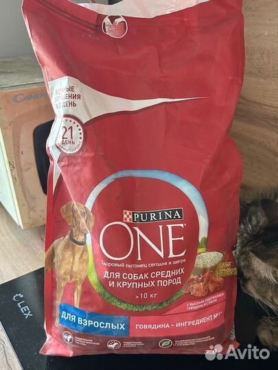 Корм для собак