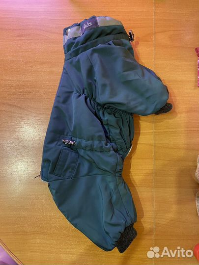 Комбинезон для маленькой собаки мальчик