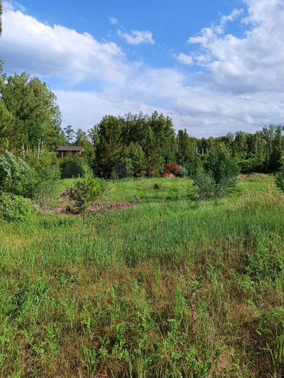 Участок 13,4 сот. (СНТ, ДНП)