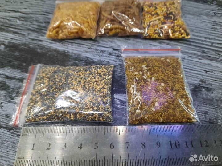 Корм для муравьев 5 видов